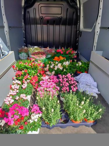 b3e79df0-02db-4231-b0b8-fd85cedd009c-1 all 155787